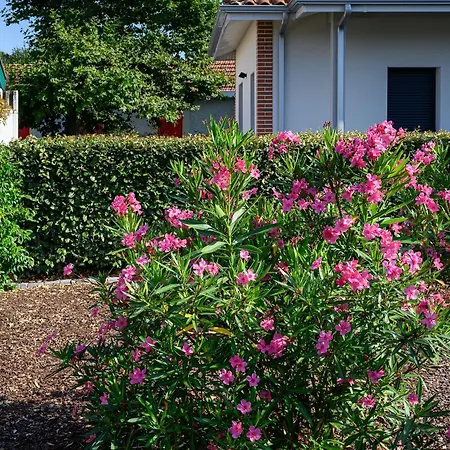 Maison Moderne Pres Aiguillon - 2 Chambres, Terrasse, Jardin, Parking - Calme Et Confort - Fr-1-420-63 Tatil Evi La Teste-de-Buch