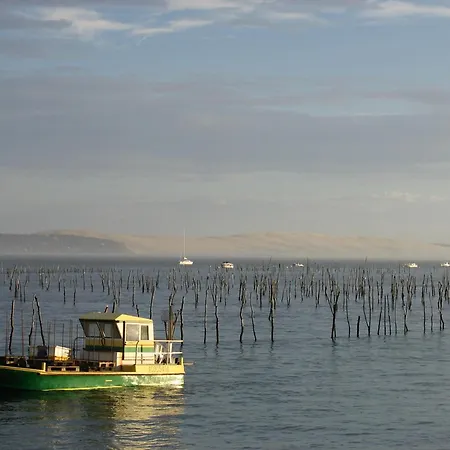 Maison Moderne Pres Aiguillon - 2 Chambres, Terrasse, Jardin, Parking - Calme Et Confort - Fr-1-420-63 בית נופש