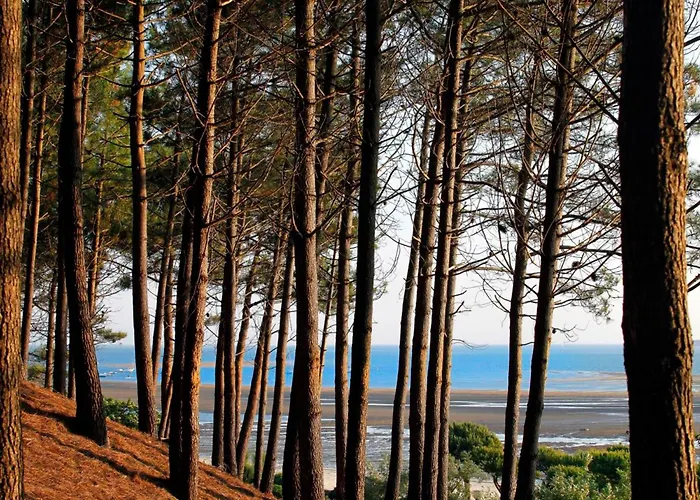 Maison Moderne Près Aiguillon - 2 Chambres, Terrasse, Jardin, Parking - Calme Et Confort - Fr-1-420-63 Casa vacanze