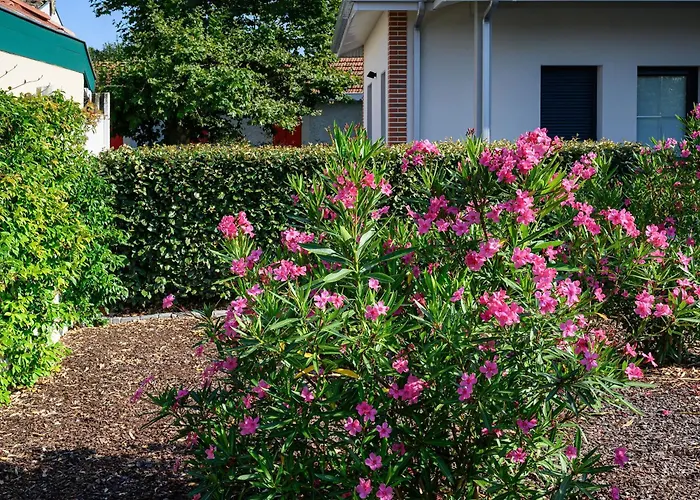Maison Moderne Près Aiguillon - 2 Chambres, Terrasse, Jardin, Parking - Calme Et Confort - Fr-1-420-63 Casa vacanze Arcachon